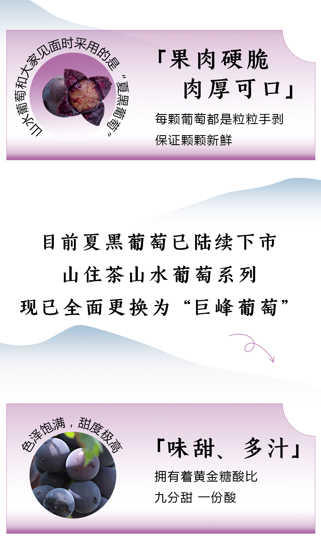 葡萄更換品種推文_03.jpg